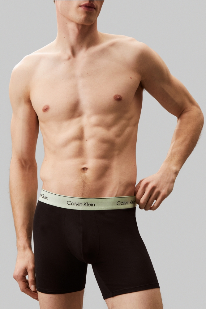 BOXER BRIEF 3PK LV00NB4394 BWHITE, BEAU BLUE, LEAFY FUN WBS